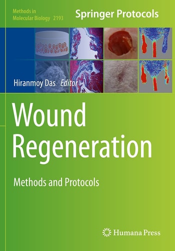 Wound Regeneration Methods and Protocols cover