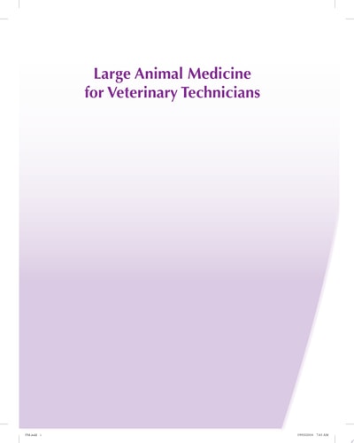 Large Animal Medicine for Veterinary Technicians cover
