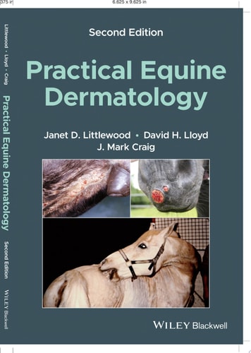 Practical Equine Dermatology cover