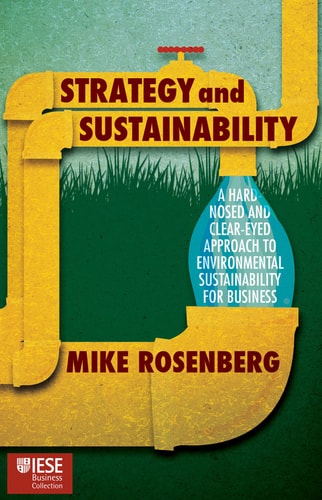 Strategy and Sustainability A Hardnosed and Clear-Eyed Approach to Environmental Sustainability For Business cover