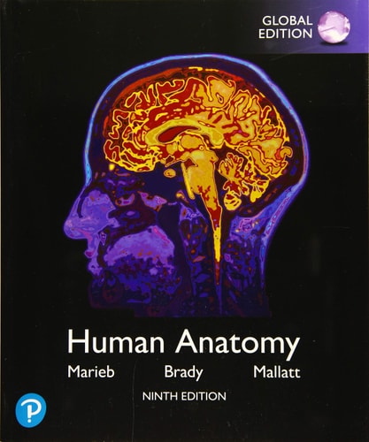 Human Anatomy, Global Edition cover
