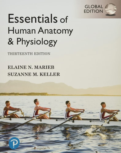 Essentials of Human Anatomy & Physiology cover