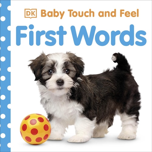 Baby Touch and Feel First Words cover