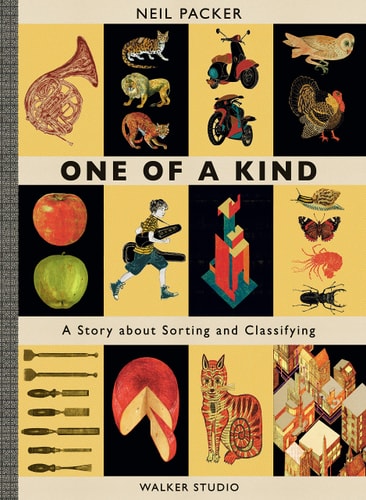 One of a Kind A Story about Sorting and Classifying cover