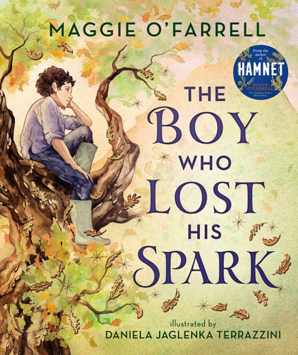 The Boy who Lost His Spark cover