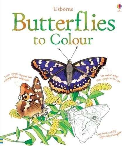 Butterflies Colouring Book cover