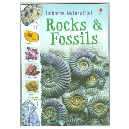 Rocks and Fossils cover