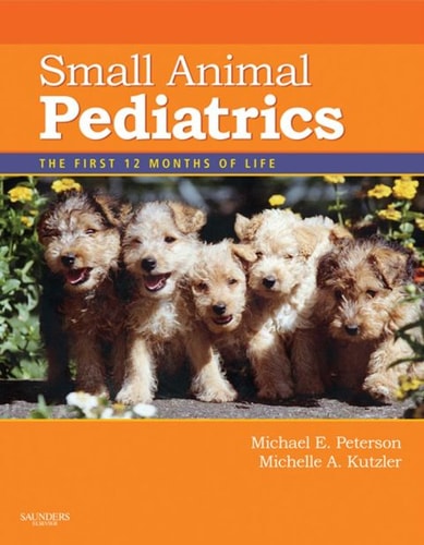 Small Animal Pediatrics The First 12 Months of Life cover