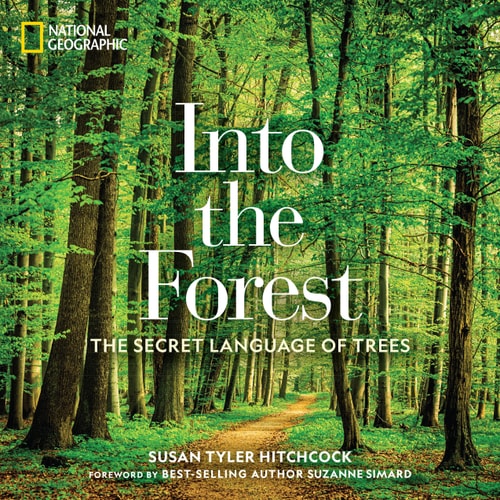Into the Forest The Secret Language of Trees cover