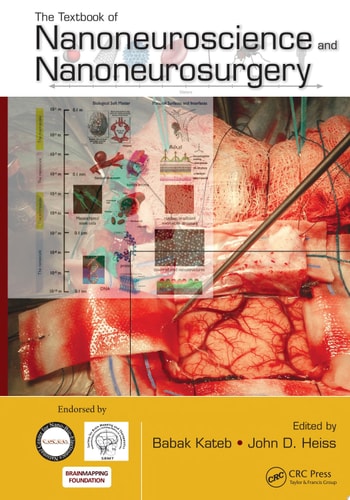 The Textbook of Nanoneuroscience and Nanoneurosurgery cover