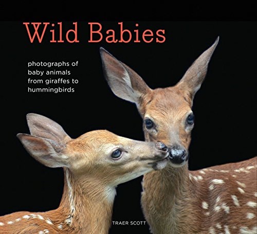 Wild Babies Photographs of Baby Animals from Giraffes to Hummingbirds cover