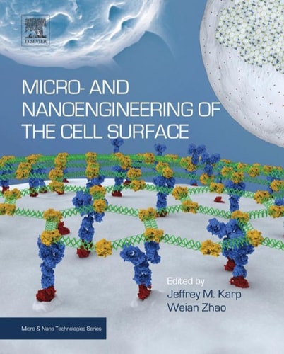 Micro- and Nanoengineering of the Cell Surface cover