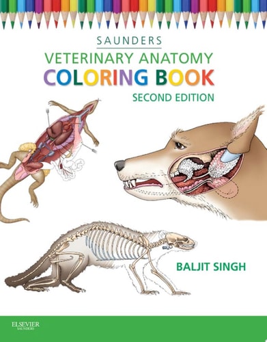 Veterinary Anatomy Coloring Book cover