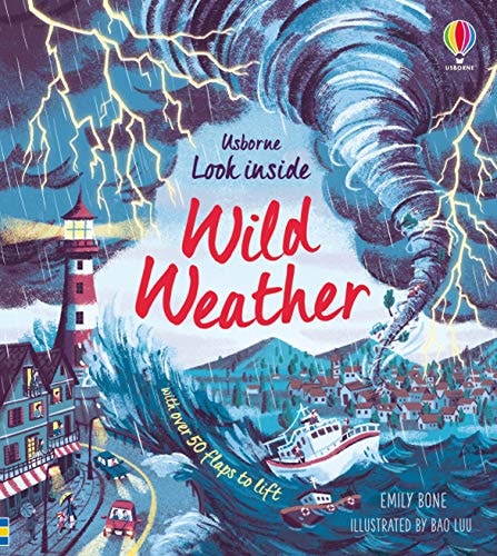 Look Inside: Wild Weather cover