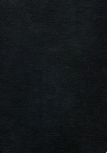 Berserk Deluxe Volume 2 cover