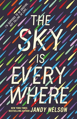 The Sky Is Everywhere cover