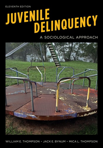 Juvenile Delinquency A Sociological Approach cover