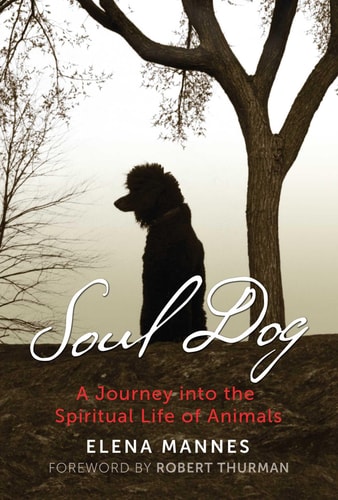 Soul Dog A Journey into the Spiritual Life of Animals cover