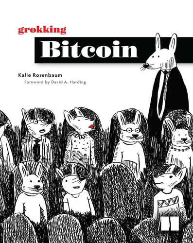 Grokking Bitcoin cover