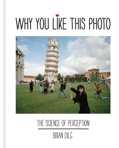 Why You Like This Photo The science of perception, and how we understand photographs cover