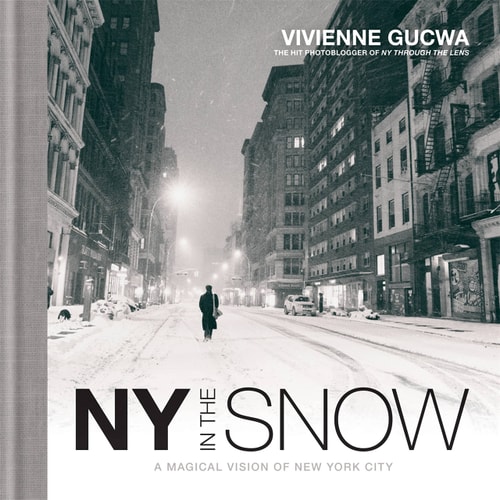 New York in the Snow cover