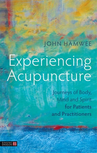 Experiencing Acupuncture Journeys of Body, Mind and Spirit for Patients and Practitioners cover