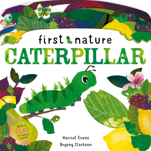 Caterpillar cover