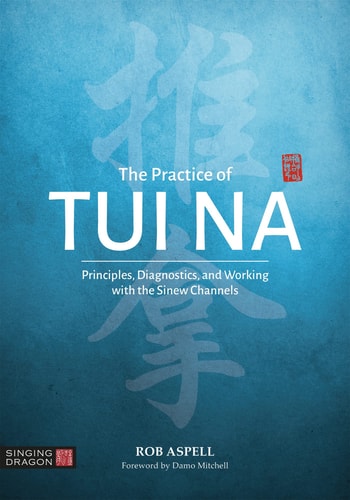 The Practice of Tui Na Principles, Diagnostics and Working with the Sinew Channels cover