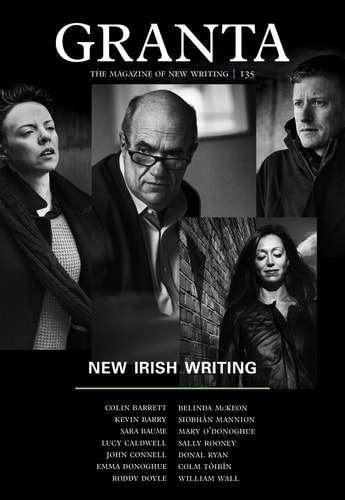 New Irish Writing cover