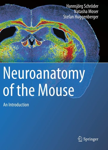 Neuroanatomy of the Mouse An Introduction cover