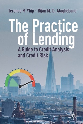 The Practice of Lending A Guide to Credit Analysis and Credit Risk cover