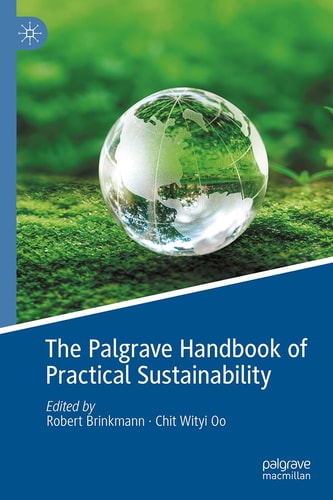 The Palgrave Handbook of Practical Sustainability cover