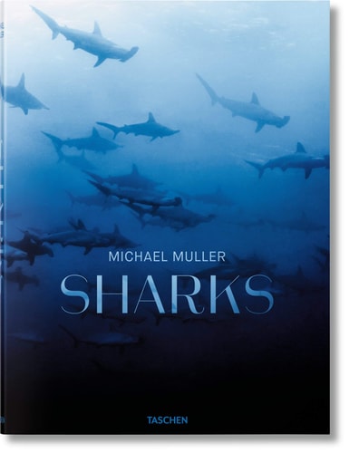 Sharks Face-to-face with the Ocean's Endangered Predator cover