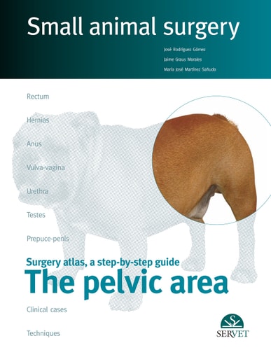 Surgery Atlas, a Step-by-step Guide The pelvic area cover
