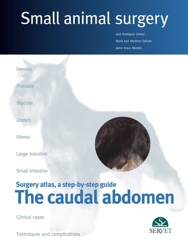 Surgery Atlas, a Step-by-step Guide The caudal abdomen cover