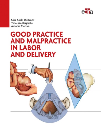 Good Practice and Malpractice in Labor and Delivery cover