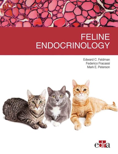Feline Endocrinology cover