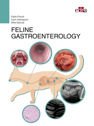 Feline Gastroenterology cover