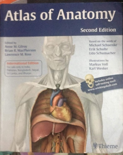 Brand: Atlas Of Anatomy (Plus Winking Skull) cover