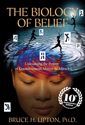 Biology Of Belief, The : Unleashing The cover