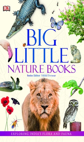 Big Little Nature Books: Exploring India's Flora and Fauna cover