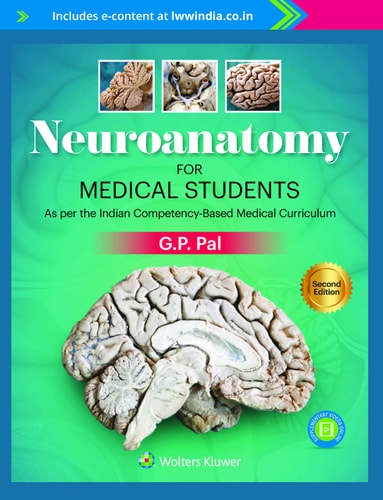 Neuroanatomy for Medical Student -2E cover